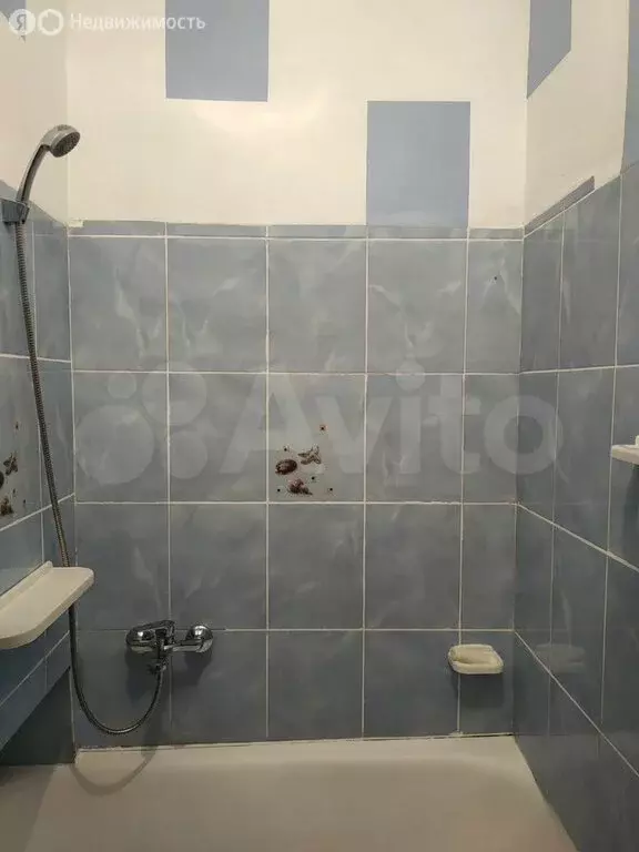 1-комнатная квартира: Воронеж, Красноармейская улица, 33/1 (30 м) - Фото 0