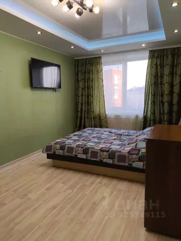 1-к кв. Псковская область, Псков Рижский просп., 49 (44.0 м) - Фото 2