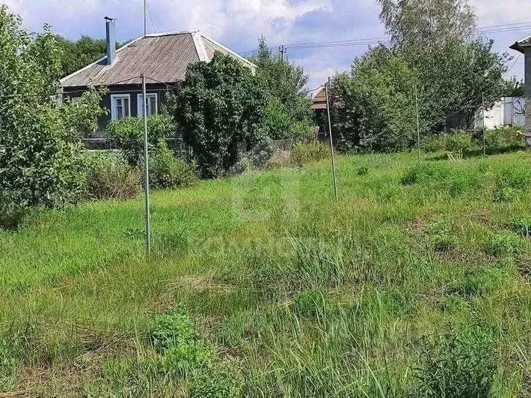 Дом в Воронежская область, Семилукский район, с. Девица ул. ... - Фото 2