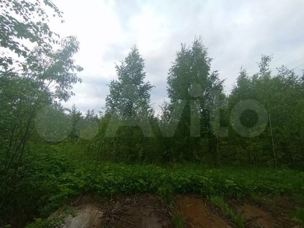 Участок 15,4 сот. (СНТ, ДНП) - Фото 0