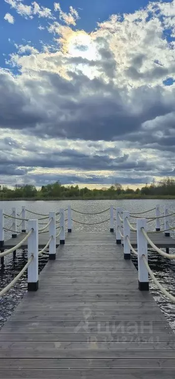 Участок в Ленинградская область, Приозерский район, Сосновское с/пос, ... - Фото 2