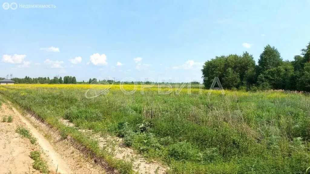 Участок в Тюменский район, посёлок Новотуринский (6 м) - Фото 0