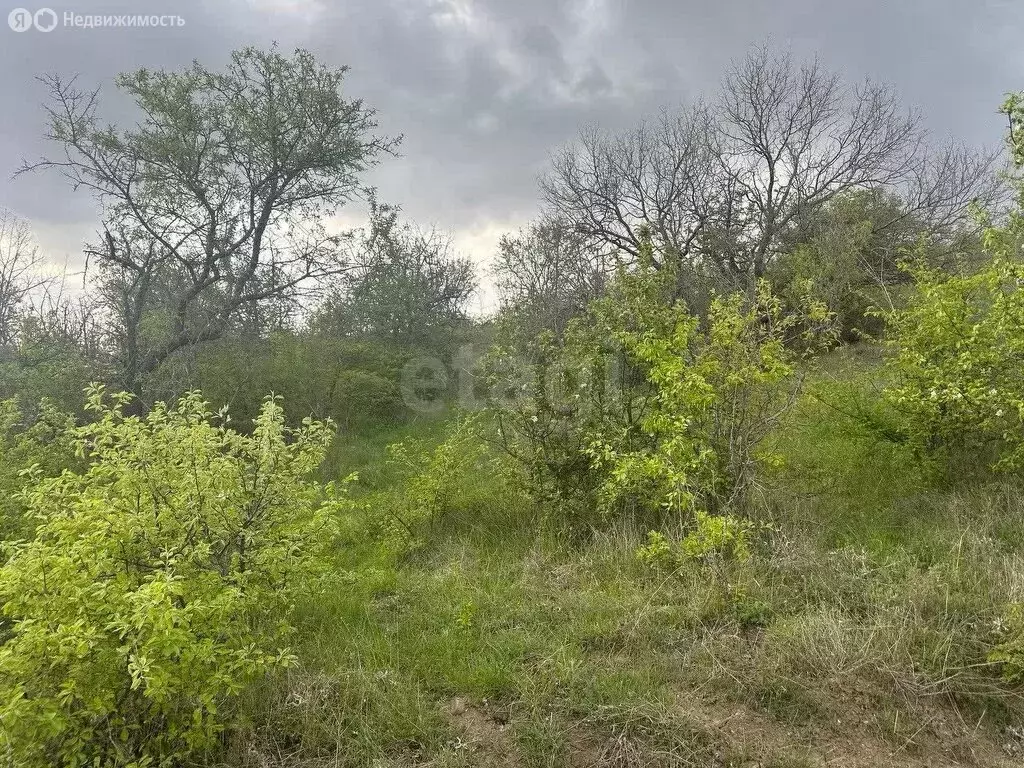 Участок в село Лучистое, Грушевая улица (244 м) - Фото 1