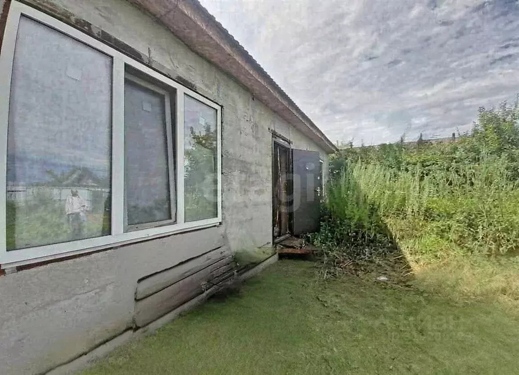 Участок в Оренбургская область, Оренбург Нефтехимик СТ, 77 (5.0 сот.) - Фото 2