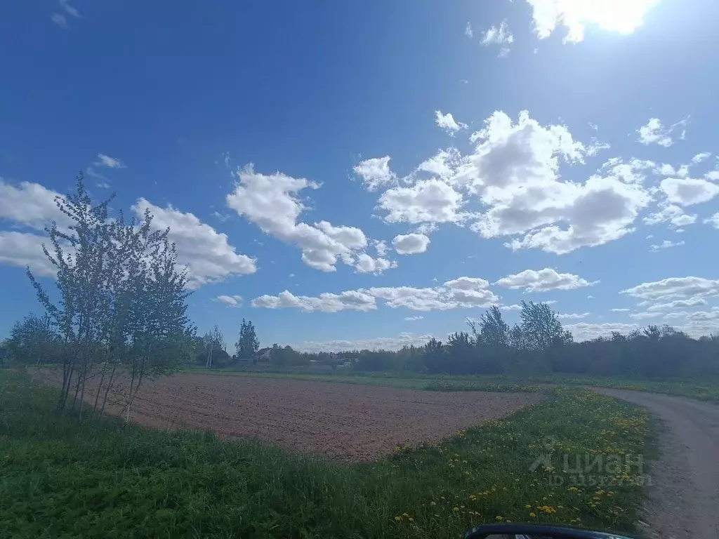 Участок в Новгородская область, Новгородский район, Ракомское с/пос, ... - Фото 1