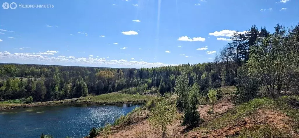 Участок в Псковская область, Островский муниципальный округ, ... - Фото 1