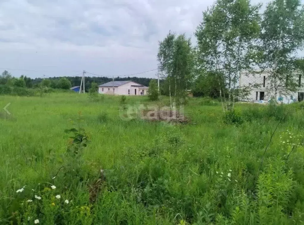 Участок в Калужская область, Совхоз Боровский с/пос, д. Комлево ул. ... - Фото 2