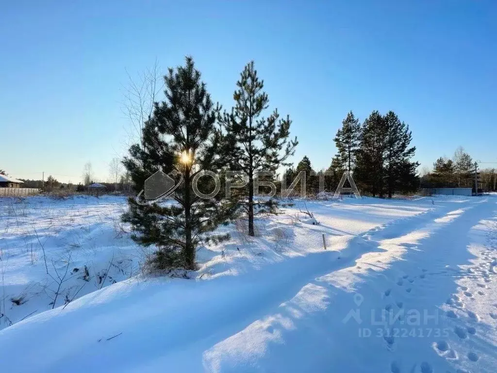 Участок в Тюменская область, Нижнетавдинский район, с. Тюнево  (12.0 ... - Фото 1