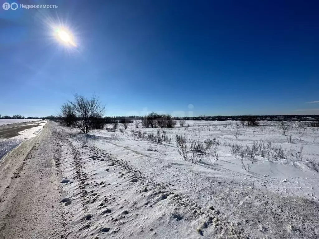 Участок в Воронеж, улица Старшины Петрова (6 м) - Фото 2