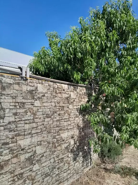 Дом в Краснодарский край, Темрюк Овощной пер., 7 (70 м) - Фото 2