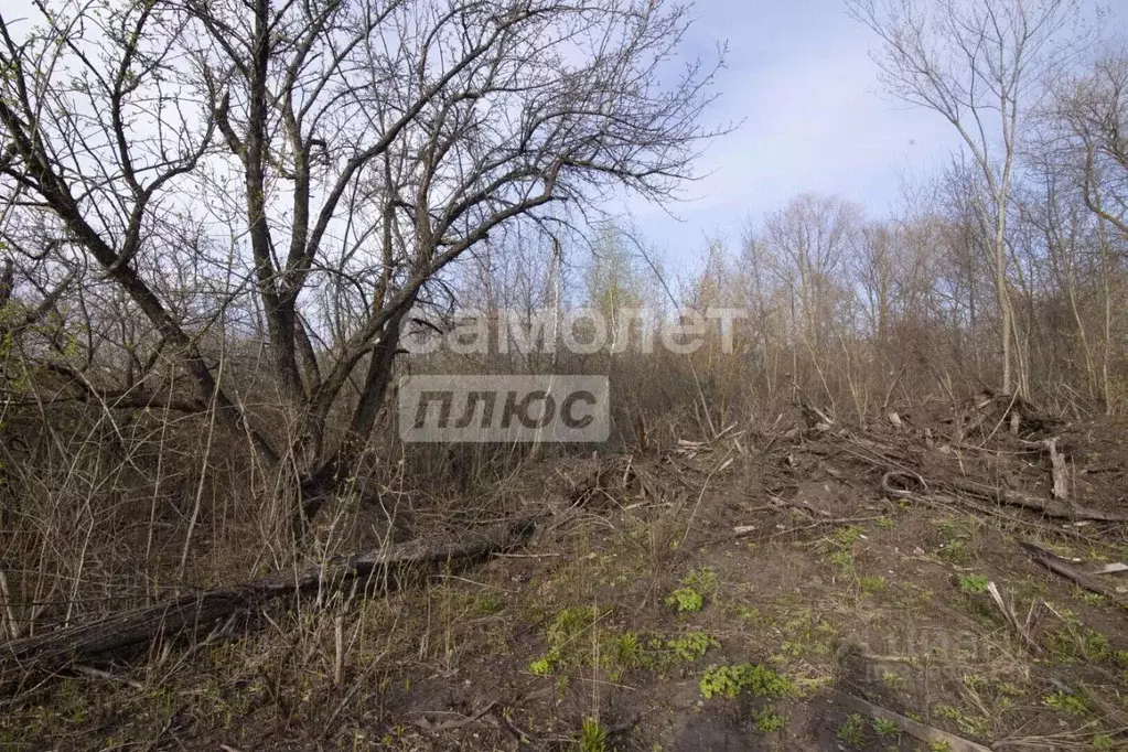 Участок в Ульяновская область, Ульяновск Свияжная ул. (6.5 сот.) - Фото 2