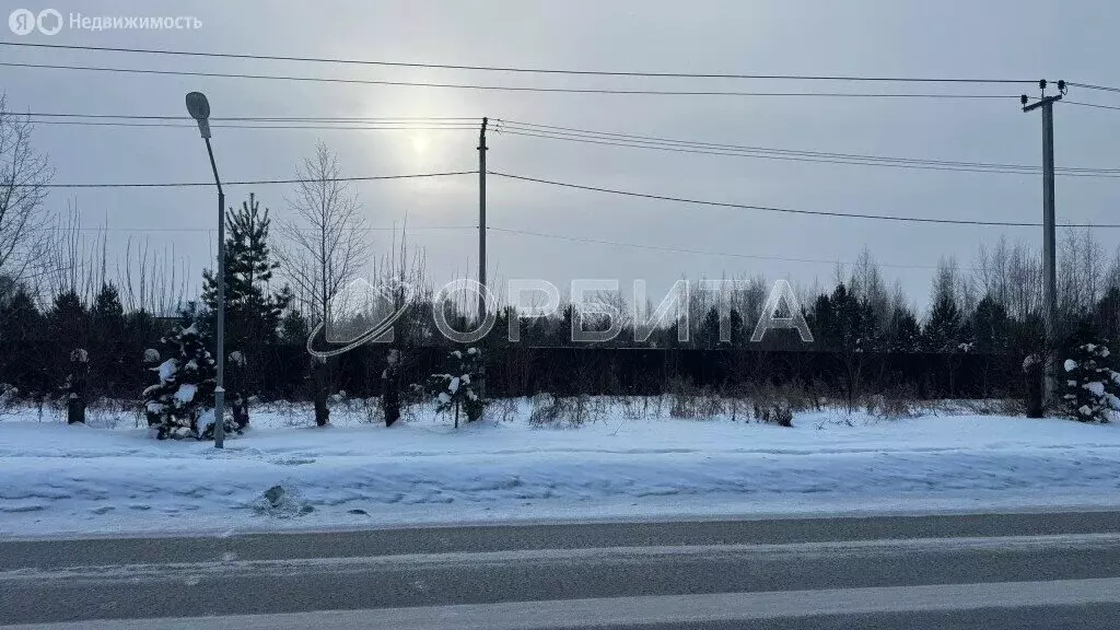 Участок в Тюмень, ДНП Звенящие Кедры Тюмени (50 м) - Фото 1
