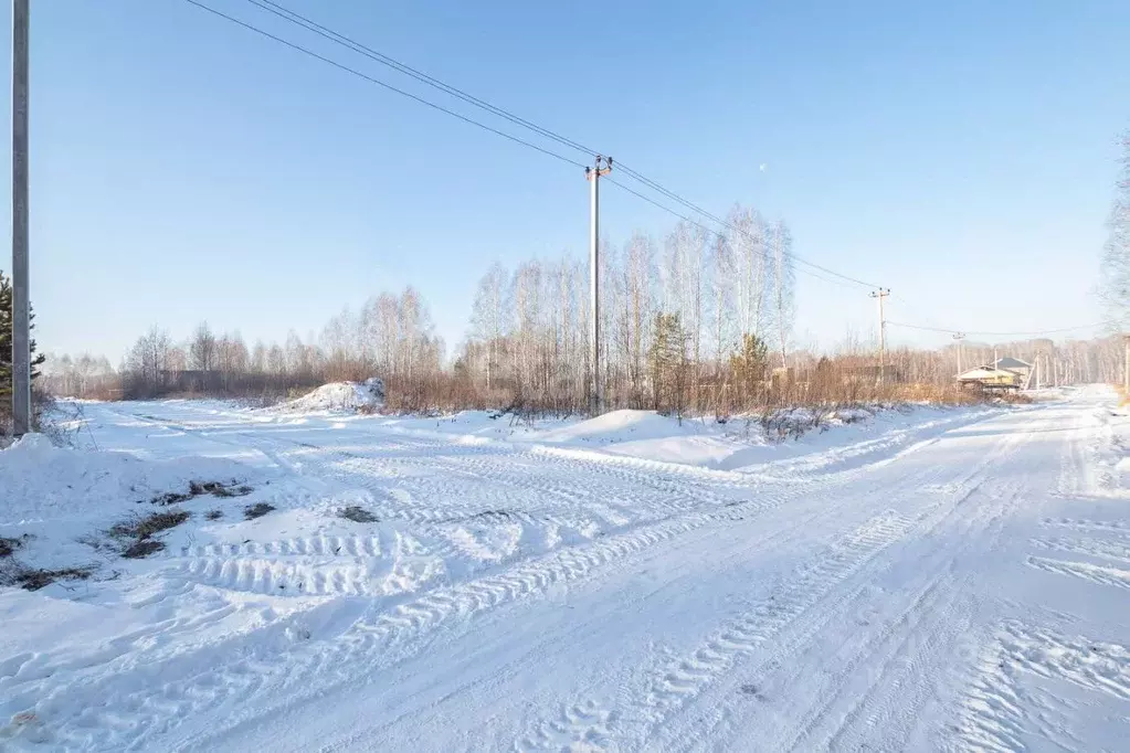 Участок в Новосибирская область, Новосибирский район, Барышевский ... - Фото 0