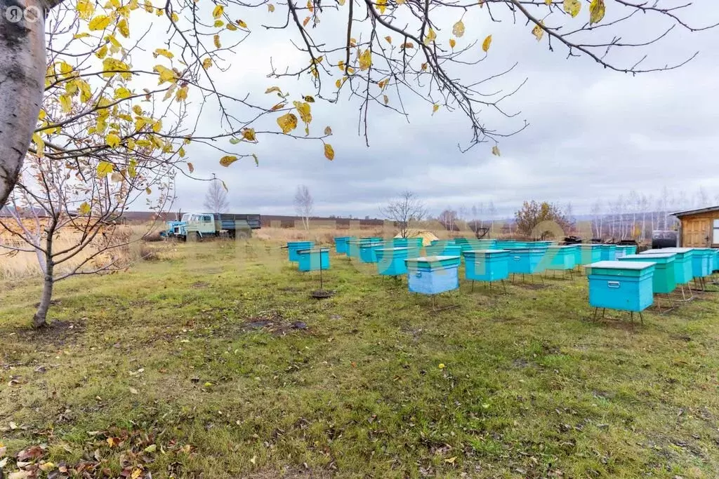 Участок в Сенгилеевский район, село Новая Слобода (15 м) - Фото 1