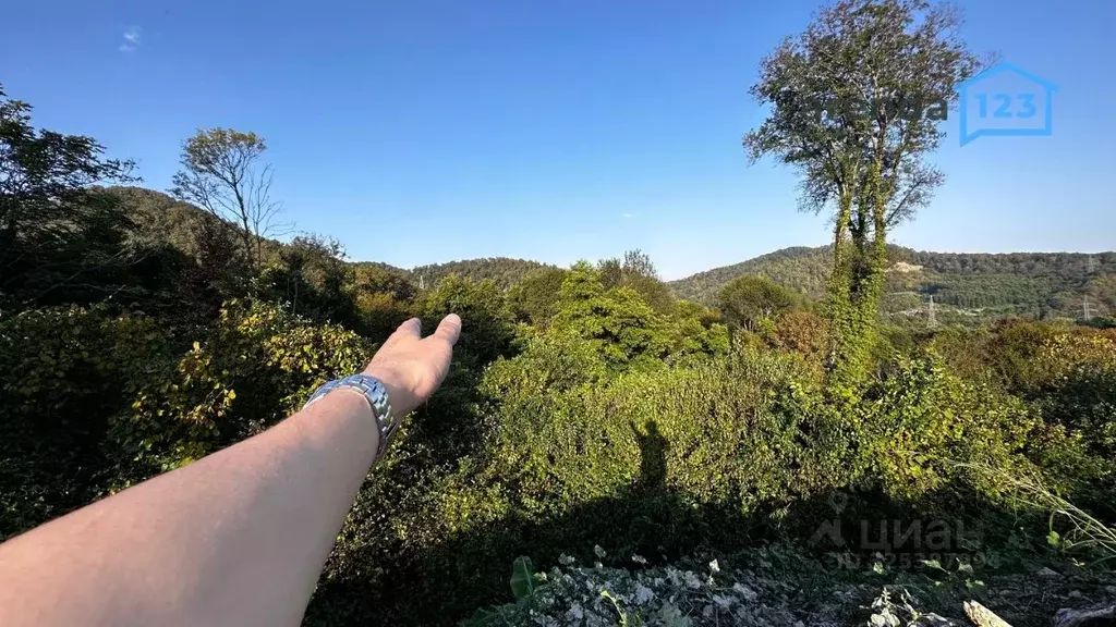 Участок в Краснодарский край, Сочи ул. Енисейская, 3/49 (4.5 сот.) - Фото 1