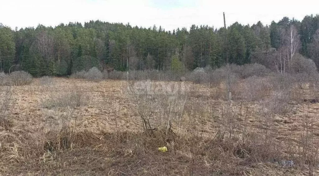 участок в майминский район, село кызыл-озек (212.2 м) - Фото 0