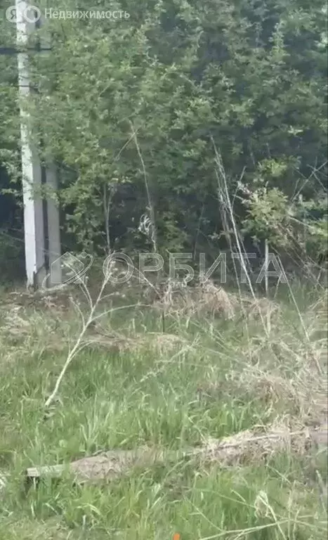 Участок в Тюменская область, Голышмановский муниципальный округ, село ... - Фото 0