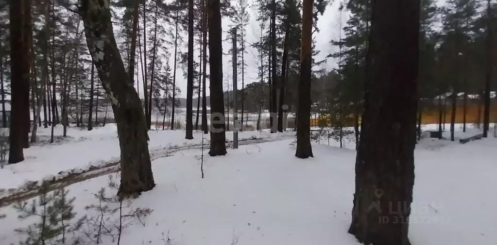 Участок в Нижегородская область, Навашинский муниципальный округ, с. ... - Фото 0