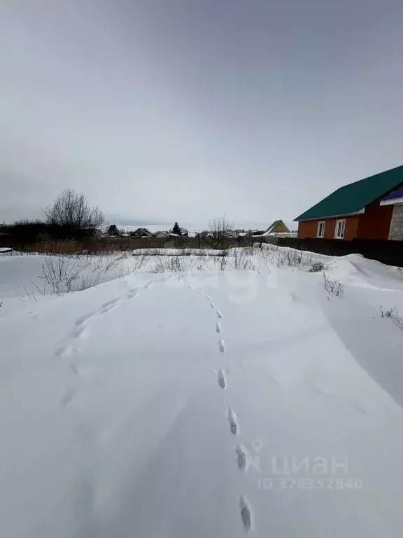 Участок в Башкортостан, Ишимбайский район, д. Байгузино ул. ... - Фото 2