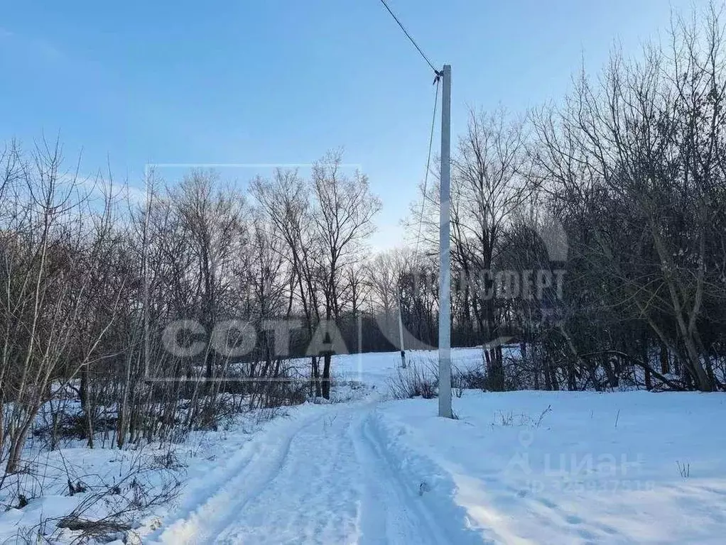 Участок в Воронежская область, Новоусманский район, ... - Фото 2