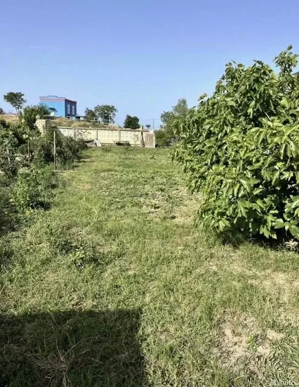 Участок в Дагестан, Дербент Березка СТ, ул. Дачников (4.0 сот.) - Фото 2