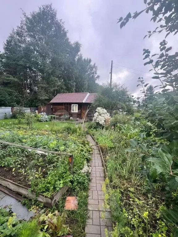 Дом в Томская область, Томск Левобережье СНТ,  (50 м) - Фото 1