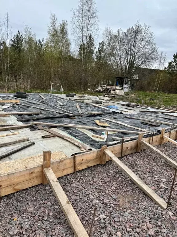 Участок в Санкт-Петербург Имени Я.М. Свердлова СНТ, ул. Северная (5.91 ... - Фото 1