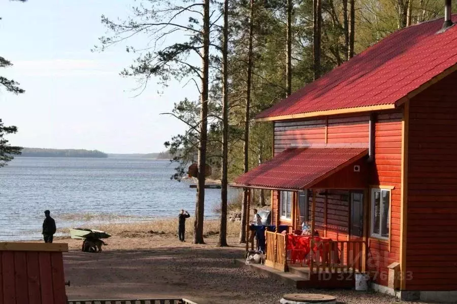 Дом в Ленинградская область, Выборгский район, Гончаровское с/пос, ... - Фото 1