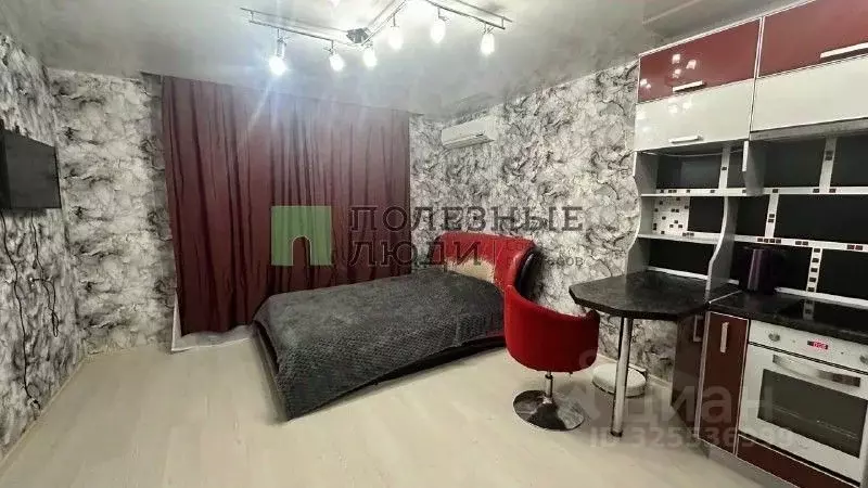 Студия Амурская область, Благовещенский район, с. Чигири ул. ... - Фото 2