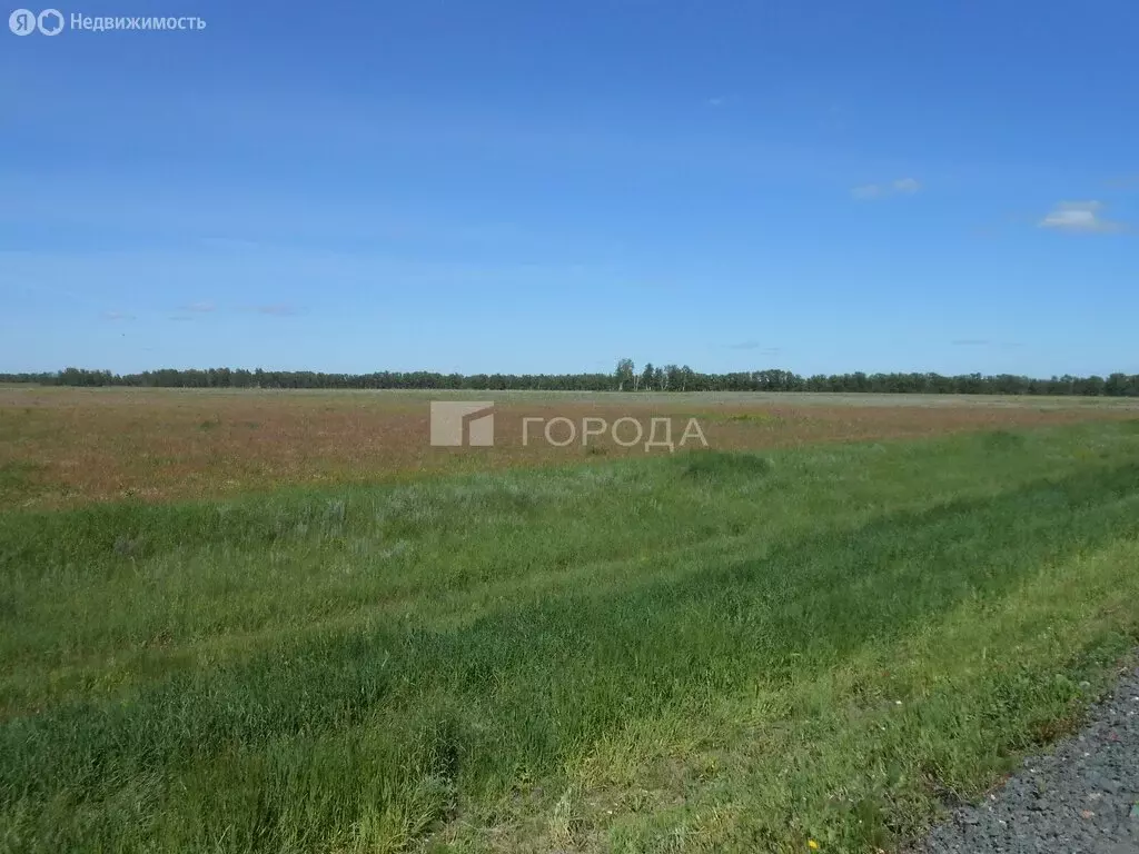 Участок в Первомайский район, Р-256 Чуйский тракт, 218-й километр (16 ... - Фото 1