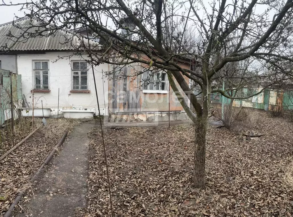 Дом 50,7 м на участке 3 сот. - Фото 0