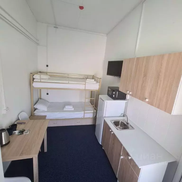 Комната Ленинградская область, Кингисеппский район, Вистинское с/пос, ... - Фото 1