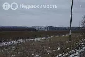 Участок в Тукаевский район, Малошильнинское сельское поселение, село ... - Фото 1