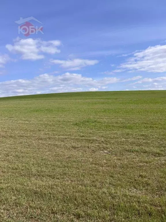 Участок в Крым, Ленинский район, с. Мысовое ул. Подгорная (10.0 сот.) - Фото 0