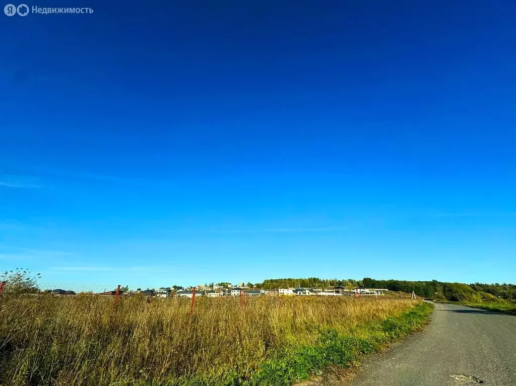 Участок в Московская область, Раменский муниципальный округ, село ... - Фото 1