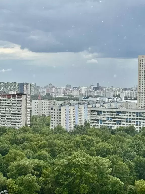 Студия Москва Илимская ул., 1Вк1 (27.1 м) - Фото 1