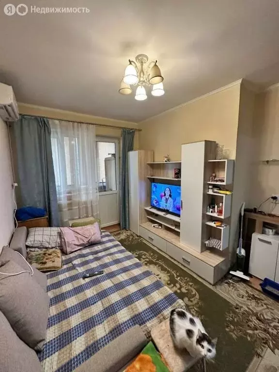 Квартира-студия: посёлок Российский, улица Ратной Славы, 33/1 (25.2 м) - Фото 1