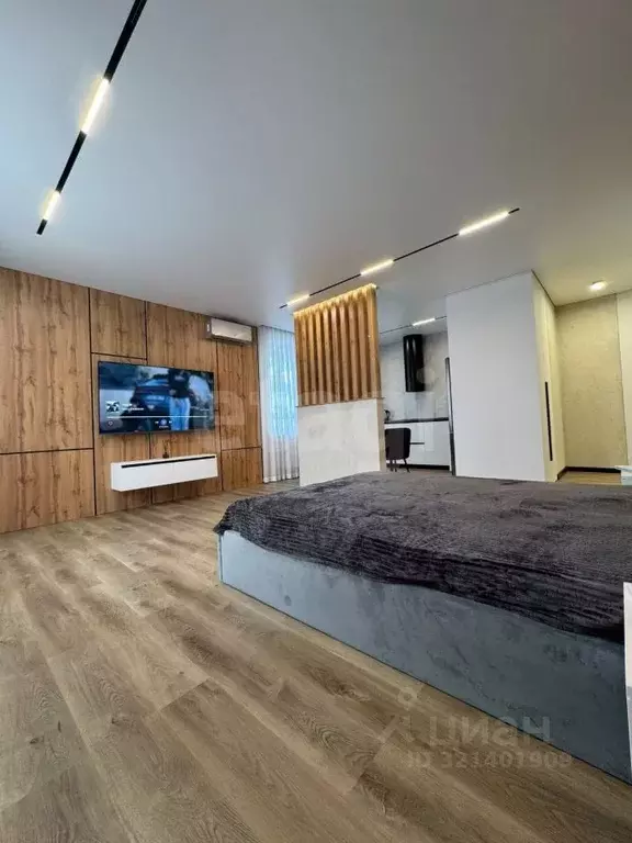 Студия Амурская область, Благовещенск ул. Чайковского, 100/2 (45.0 м) - Фото 1