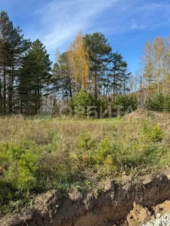 Участок в Тюменская область, Тюмень Мыс мкр, ул. Ушакова (7.0 сот.) - Фото 0