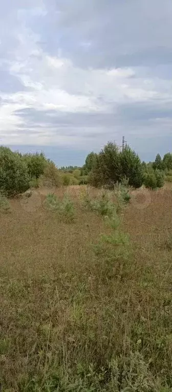 Участок 15 сот. (ИЖС) - Фото 1