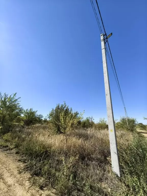 Участок в Ростовская область, Родионово-Несветайский район, ... - Фото 2
