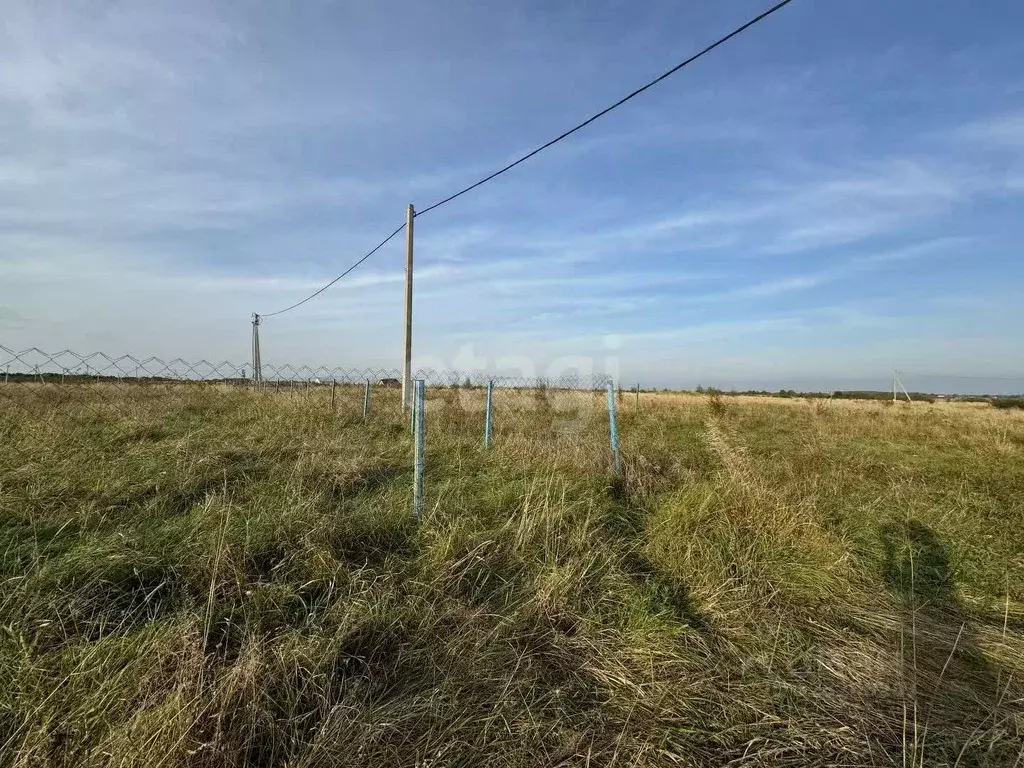 Участок в Калининградская область, Гурьевский муниципальный округ, ... - Фото 1