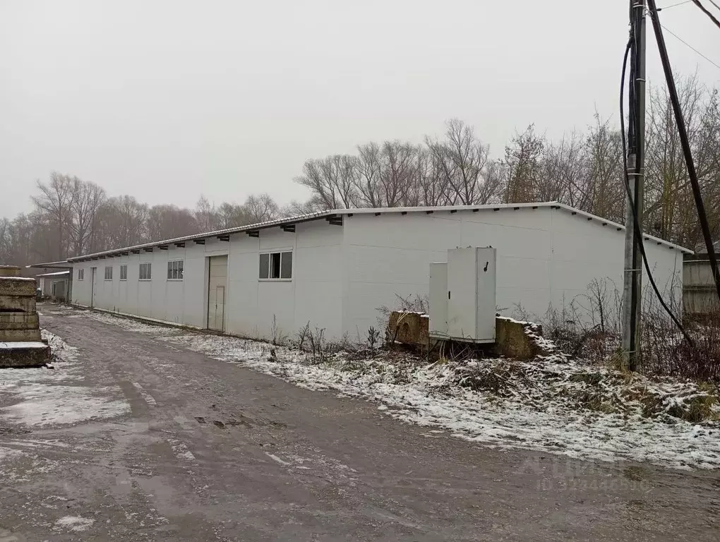 Склад в Московская область, Ногинск Богородский городской округ, туп. ... - Фото 1