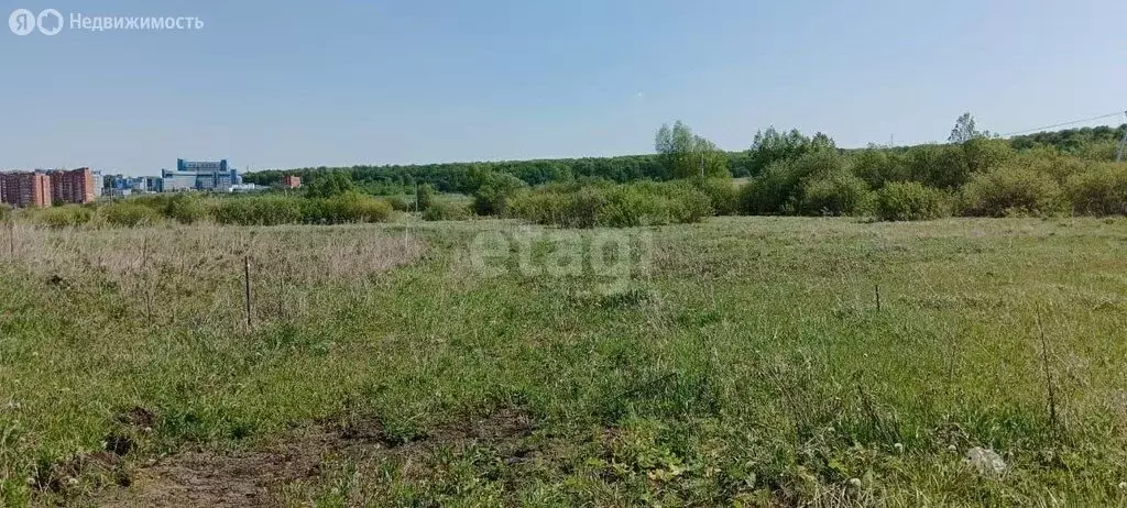 Участок в Лямбирский район, Берсеневское сельское поселение, село ... - Фото 0