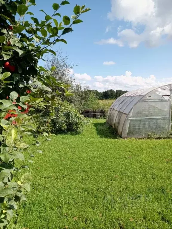 Дом в Тюменская область, Нижнетавдинский муниципальный округ, с. ... - Фото 1