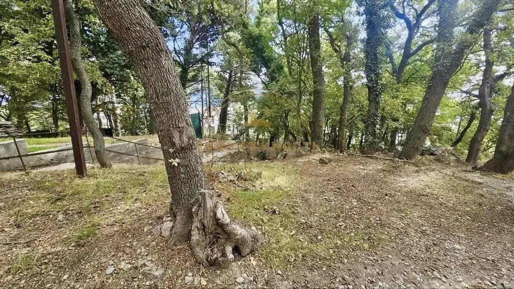 Участок в Крым, Алупка ул. Калинина (6.0 сот.) - Фото 1