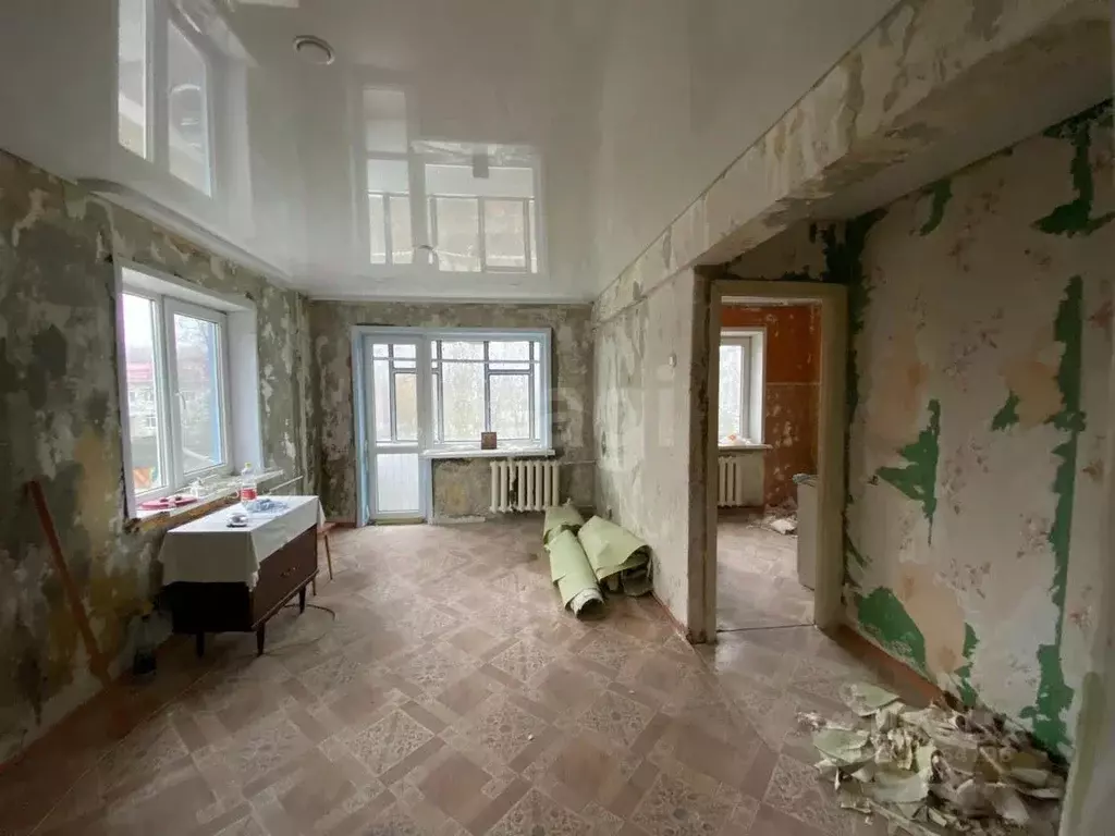 1-к кв. Брянская область, Брянский район, Новодарковичское с/пос, пос. ... - Фото 1