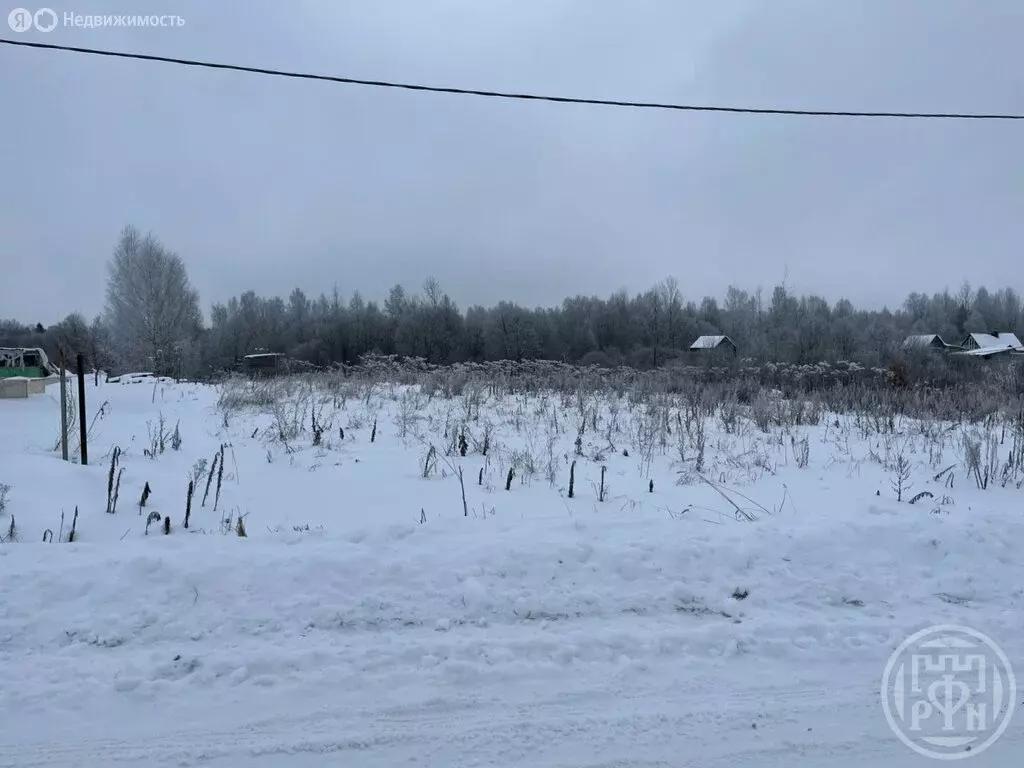 Участок в Скребловское сельское поселение, деревня Домкино (25 м) - Фото 2