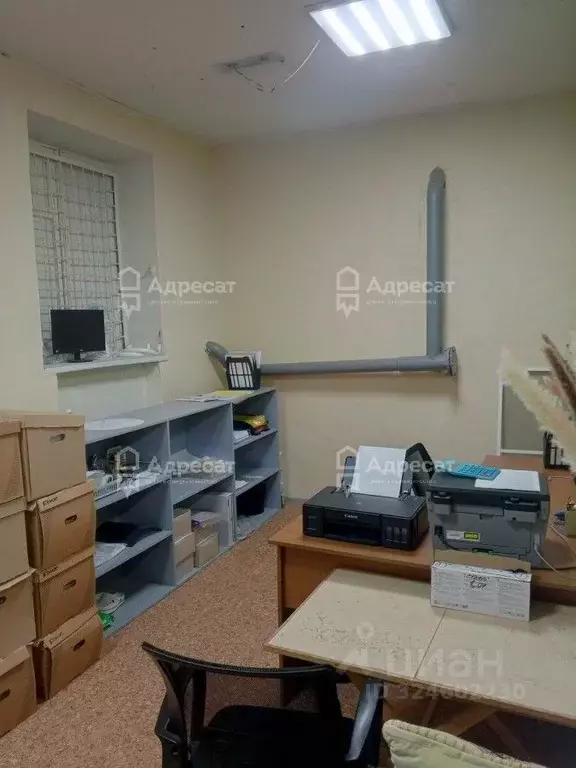 Торговая площадь в Волгоградская область, Волгоград Авиаторская ул., 3 ... - Фото 1