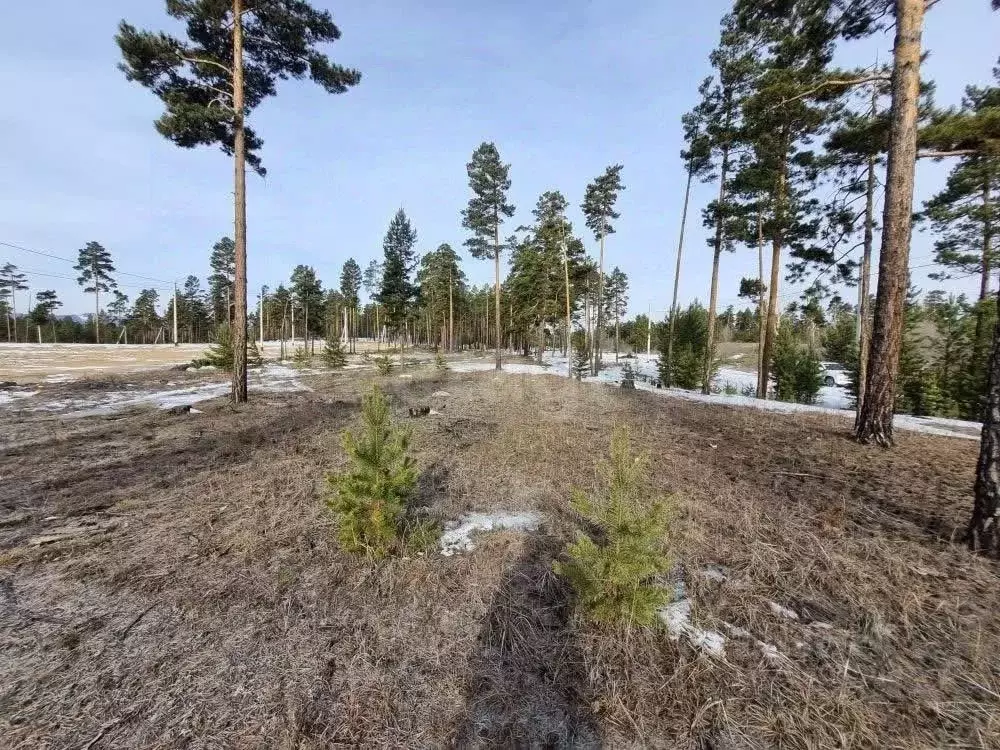 Участок в Бурятия, Улан-Удэ  (6.0 сот.) - Фото 1